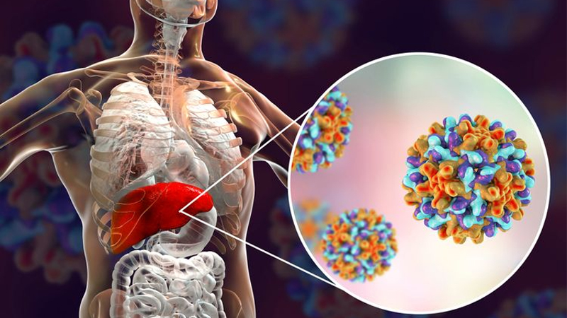 Hepatitis: Jenis dan Pencegahan Menurut PAFI Kabupaten Jepara